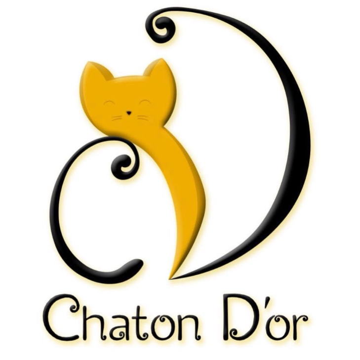 CHATON D'OR